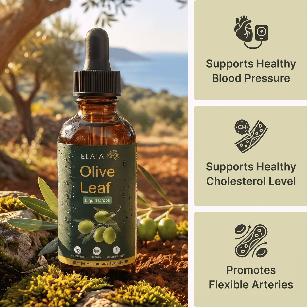 Elaia™ Olive Leaf Extract Drops - 150mg Oleuropein