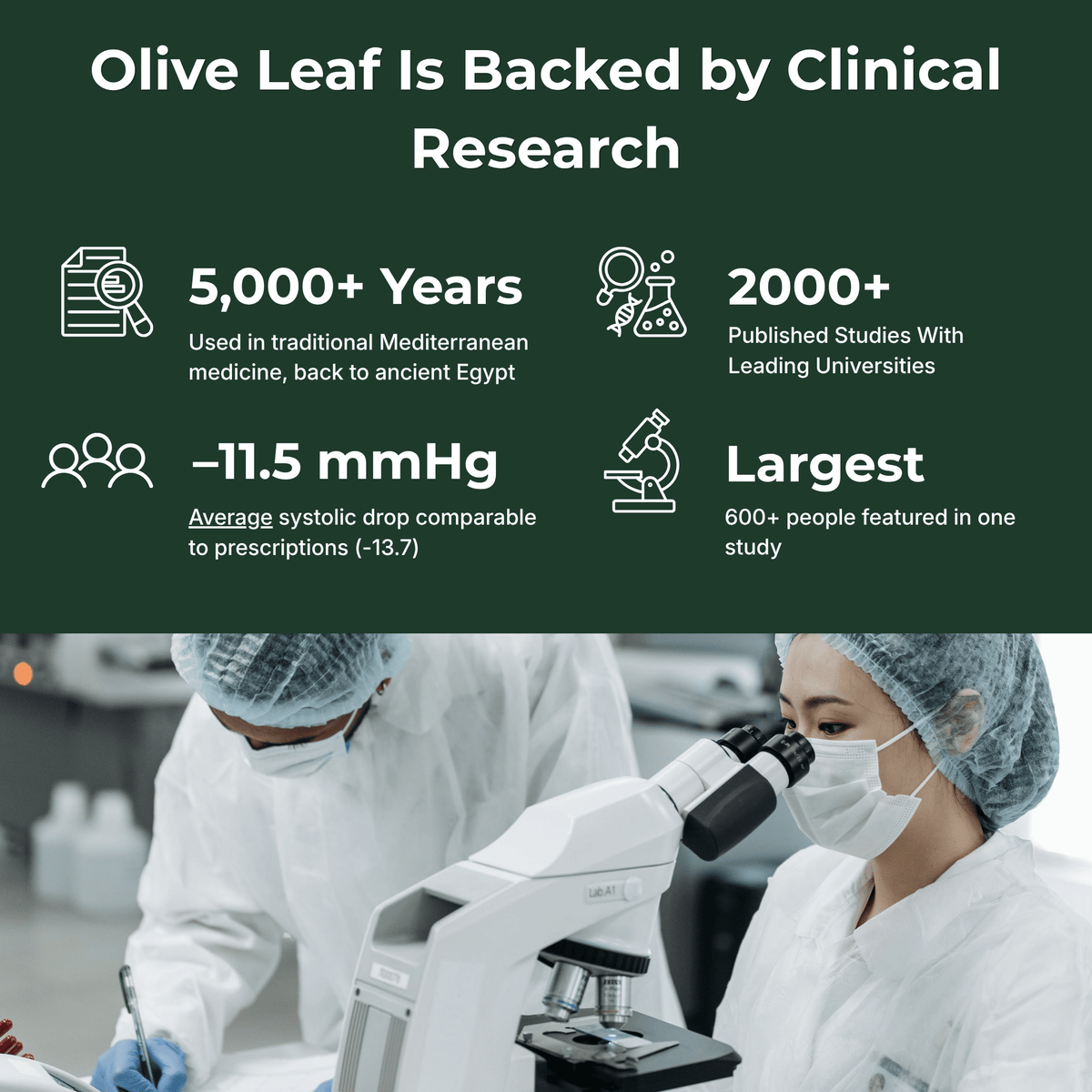 Elaia™ Olive Leaf Extract Drops - 150mg Oleuropein